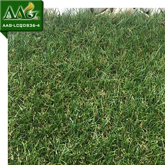 PE Materials Synthetic Grass for Landscaping