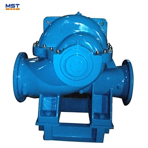 Horizontal Single Stage Double Suction Water Irrigation Pump for Sale