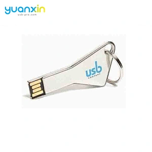 High speed pormo usb flash key,usb keychain,key usb