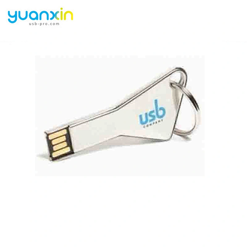 High speed pormo usb flash key,usb keychain,key usb
