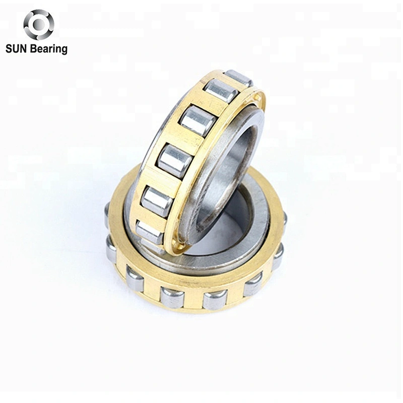 RN205 Cylindrical Roller Bearing