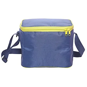 Soft-Sided Insulated Foldable Polyester Non-woven Picnic Cooler Bag