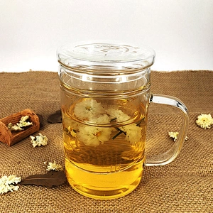 450ml Handmade Heat-resistant Glass Tea Pot Customized Logo Tea Pot with Infuser China Supplier Hot Sale Borosilicate Glass Pot