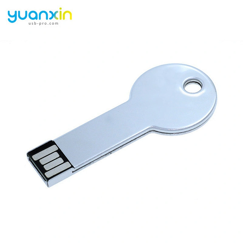 Portable Pen Drive Player Key Shape Usb Flash Drive 8Gb 2.0