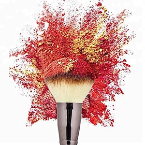 Cosmetics private label cushion liquid makeup powder stick cream plastic foundation makeup brush set
