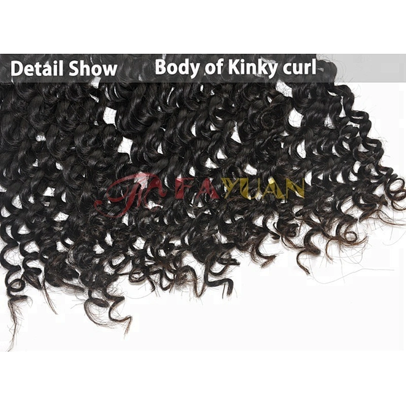 Excellent Design Hair Malaysian Hair Kinky Curly on sale for black women accept sample order