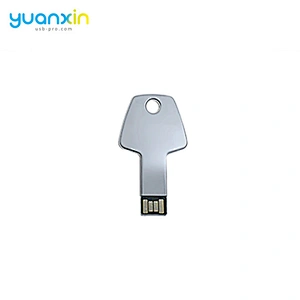 Free Sample Metal Key Usb Flash Drive Custom Logo Usb Stick Memory Any Color