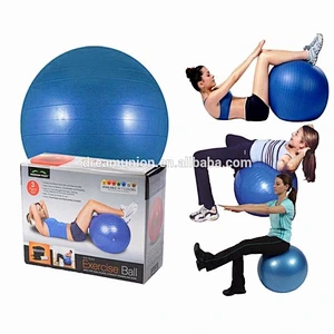 Gym Yoga Exercise Ball 65CM Balance Fitness