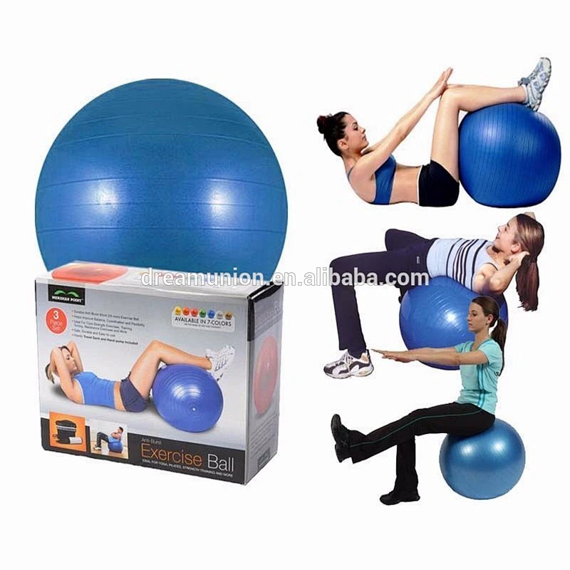 Gym Yoga Exercise Ball 65CM Balance Fitness