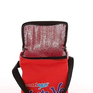 Custom wholesale red insulated bag rectangle for fast food packaging