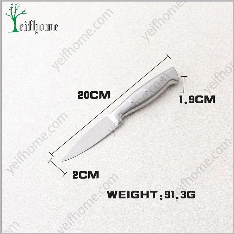 Food Safety zro2 paring knife