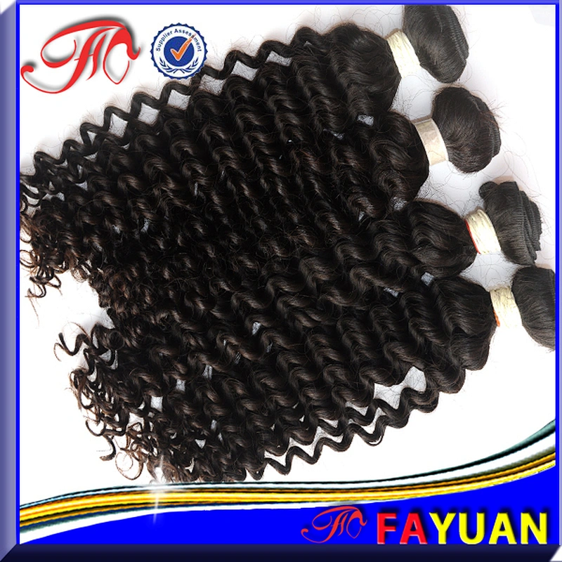 Guarantee quality hot sales long lasting Eurasian Curly Afro Weave