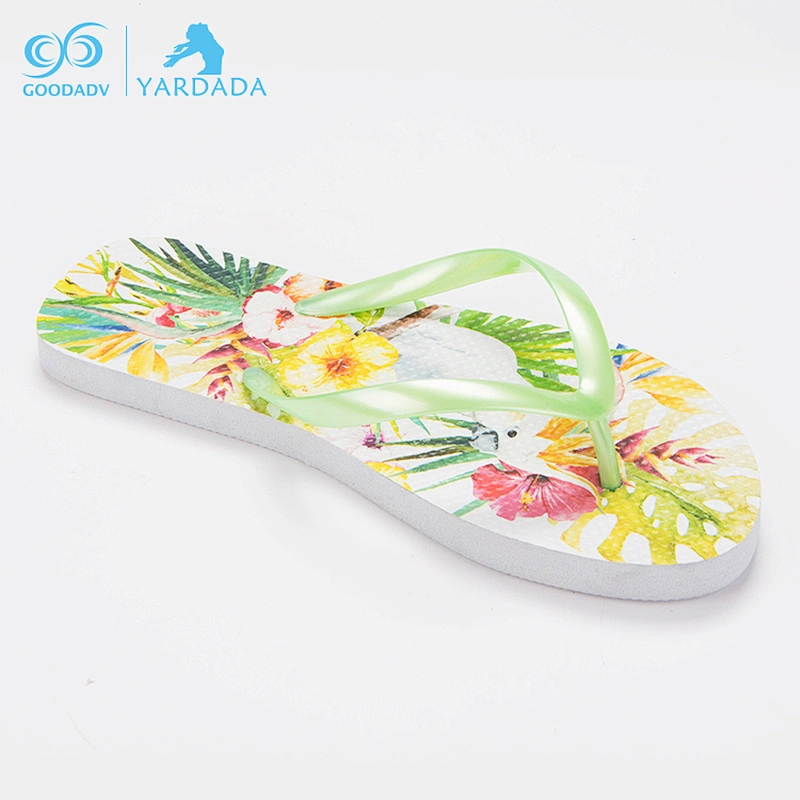 New design women flip flop with cheap price wholesale manufacturer new model