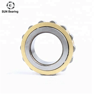 RN312M Cylindrical Roller Bearing