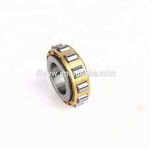 Factory Bearing RN204M (15*35*11mm) Cylindrical Roller Bearing