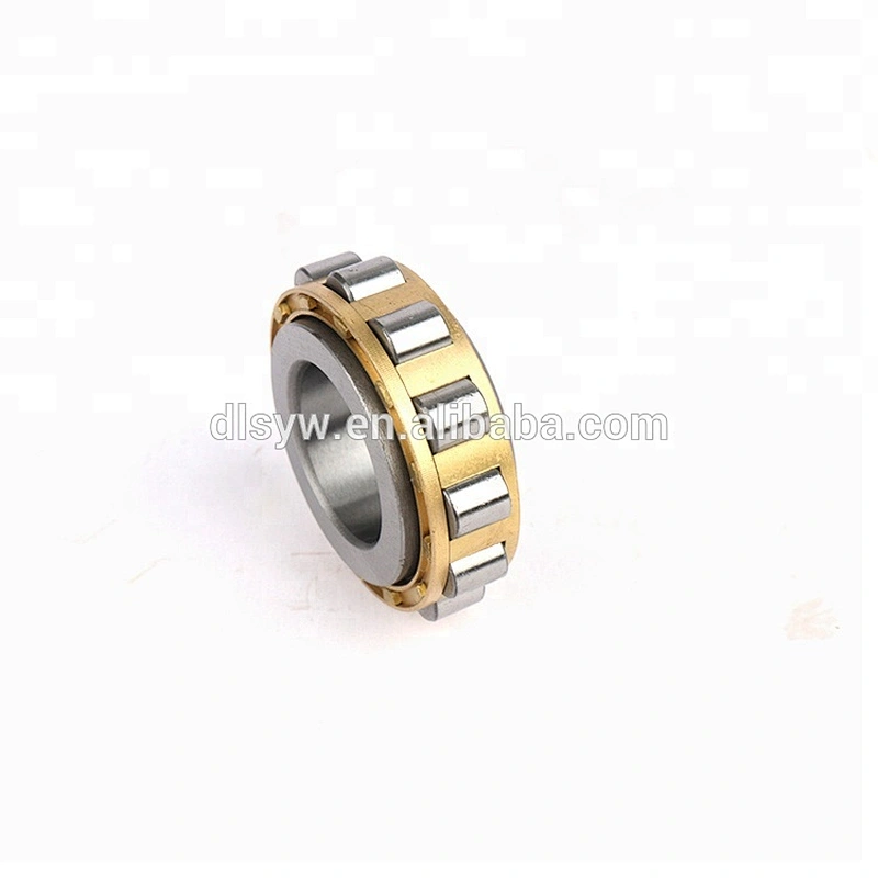 Factory Bearing RN204M (15*35*11mm) Cylindrical Roller Bearing