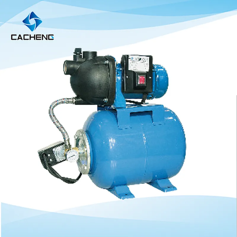 AUGP Automatic Working Pressure Systems Garden Pump
