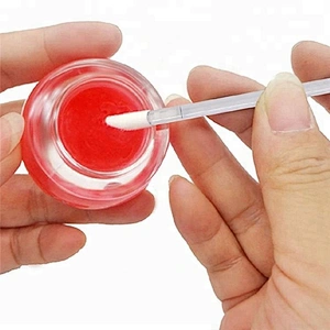 Custom Disposable Lip Wand Lipstick Makeup Brush