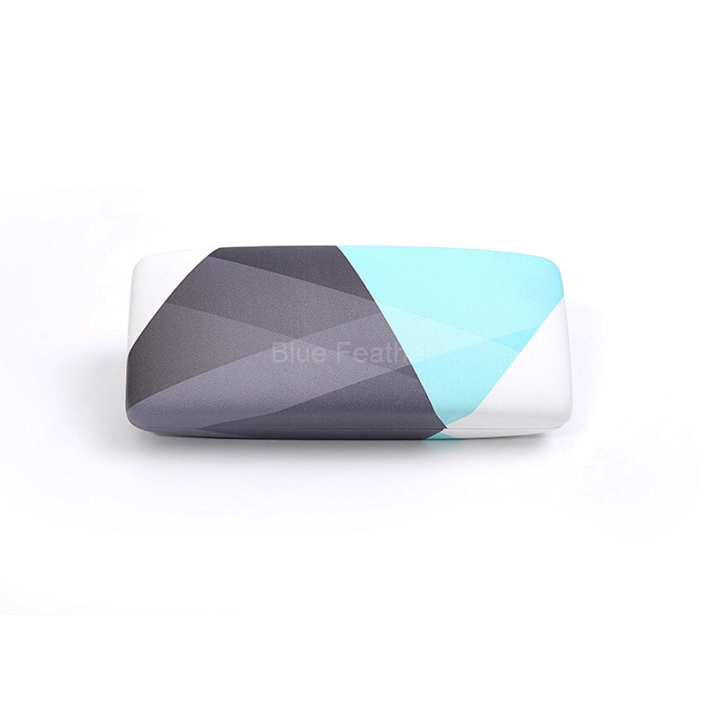 Hard Shell Geometric Eyewear Case with Pastel Accents for Stylish Users