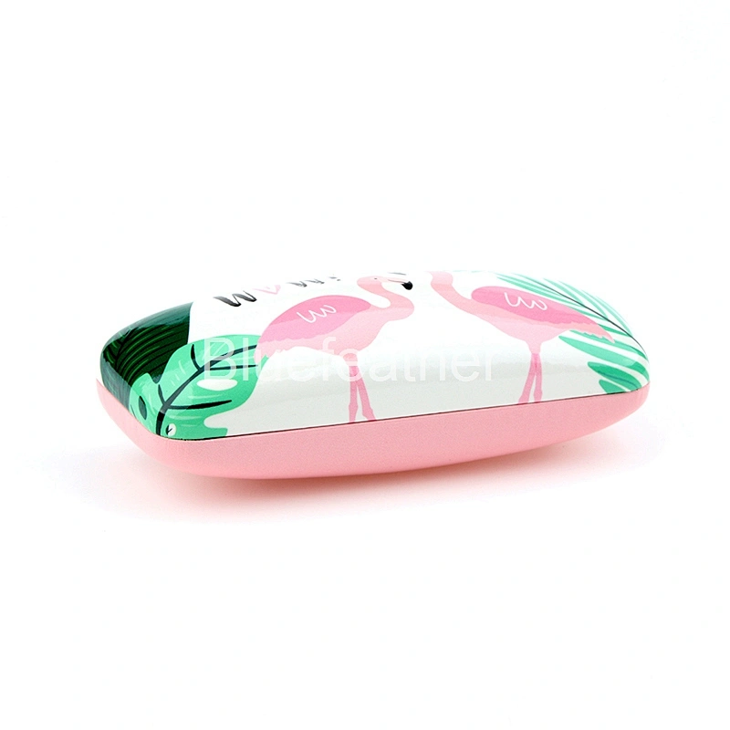 Torrid Areas Flamingo Cacti Digital Printing Eyeglass Case