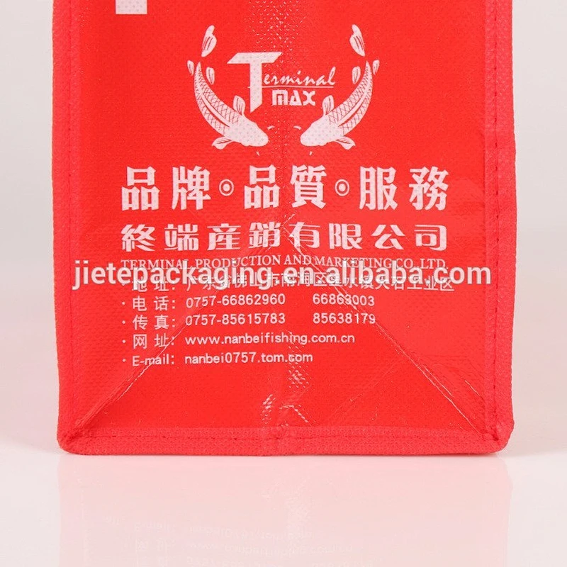 OEM eco PP Non-woven reusable shopping bag