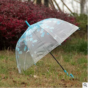 Wholesale Promotion Clear Dome Transparent Umbrella Promotional Woman Kid Umbrella
