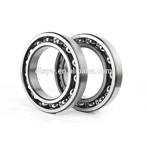 Deep Groove Ball Bearing 6028