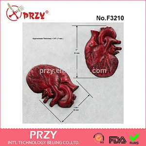 F3210 Anatomical Heart Mold Silicone Mould Resin Chocolate Fondant Clay Wax