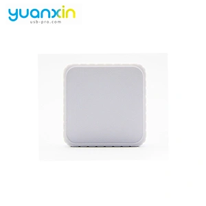 Custom Promotional Plastic Case USB Flash Drive