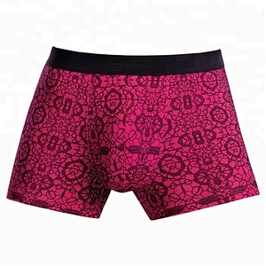 2018 Hot Selling Custom Logo Sexy Men In Underwear Transparent Pictures Men Penis Boxer Briefs