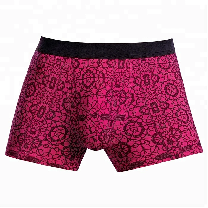 2018 Hot Selling Custom Logo Sexy Men In Underwear Transparent Pictures Men Penis Boxer Briefs
