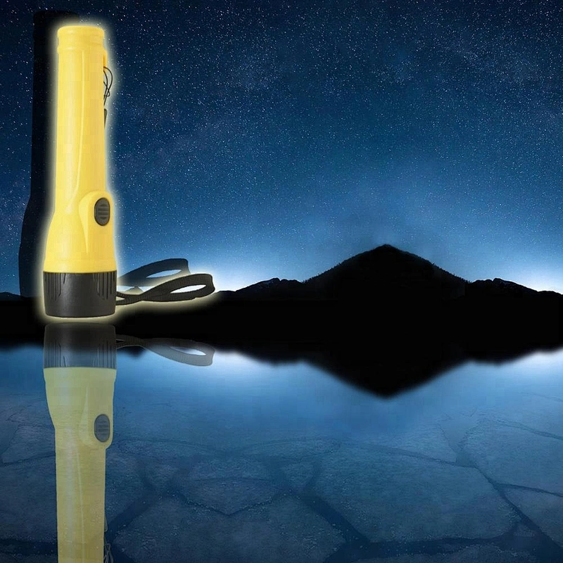 2018 NEW simple LED Flashlight Promotion Torch 2AA Battery