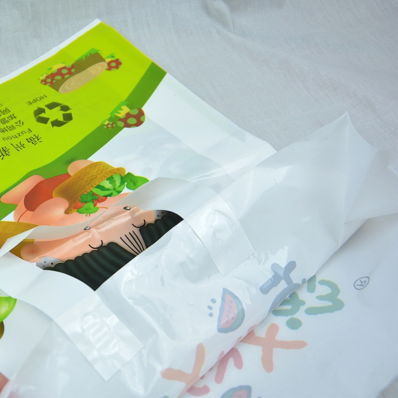 Custom PE shopping bag with handle wholesale