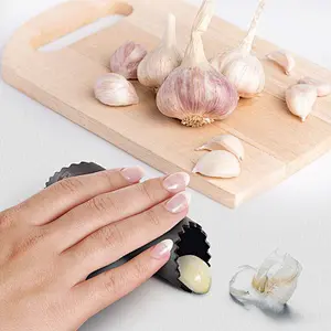 high quality professional industrial manual stainless steel garlic press