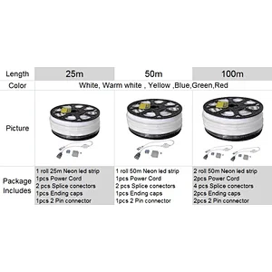 Waterproof IP68 Strip rgb blue yellow 220v 110v 12v 24v 50ft 150ft Flexible led neon lights for rooms