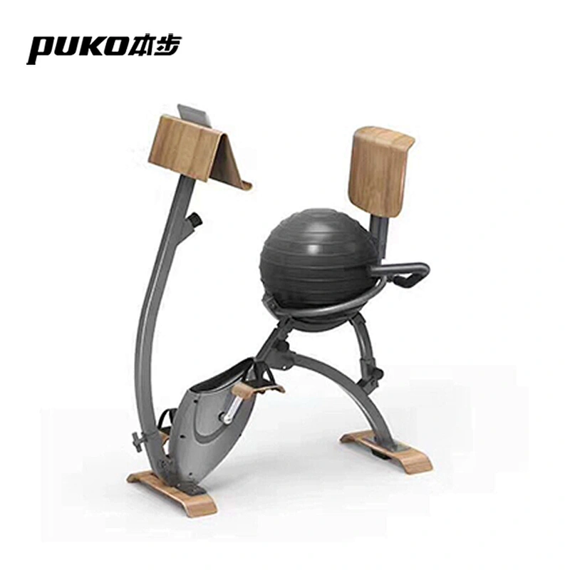 CF-EO5 Indoor Wooden Nature Style Yoga Ball Seat Fitness Upright Exercise Bike