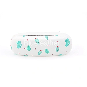 Blue Cactus Bonsai Ball Cactus Hard Optical Case for Students