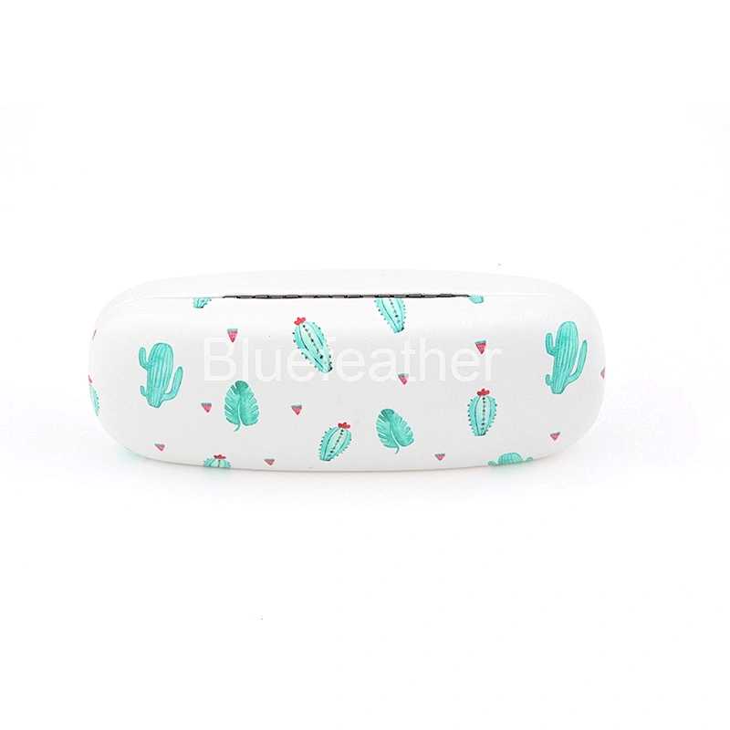 Blue Cactus Bonsai Ball Cactus Hard Optical Case for Students