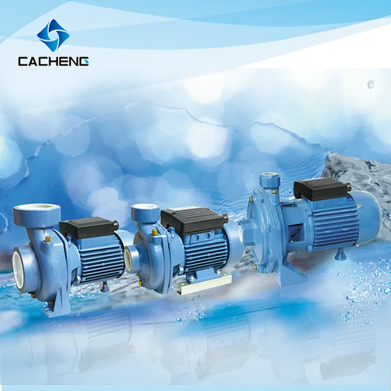 2CCP Two-stage Centrifugal Pumps(back to back impellers) Surface Pump