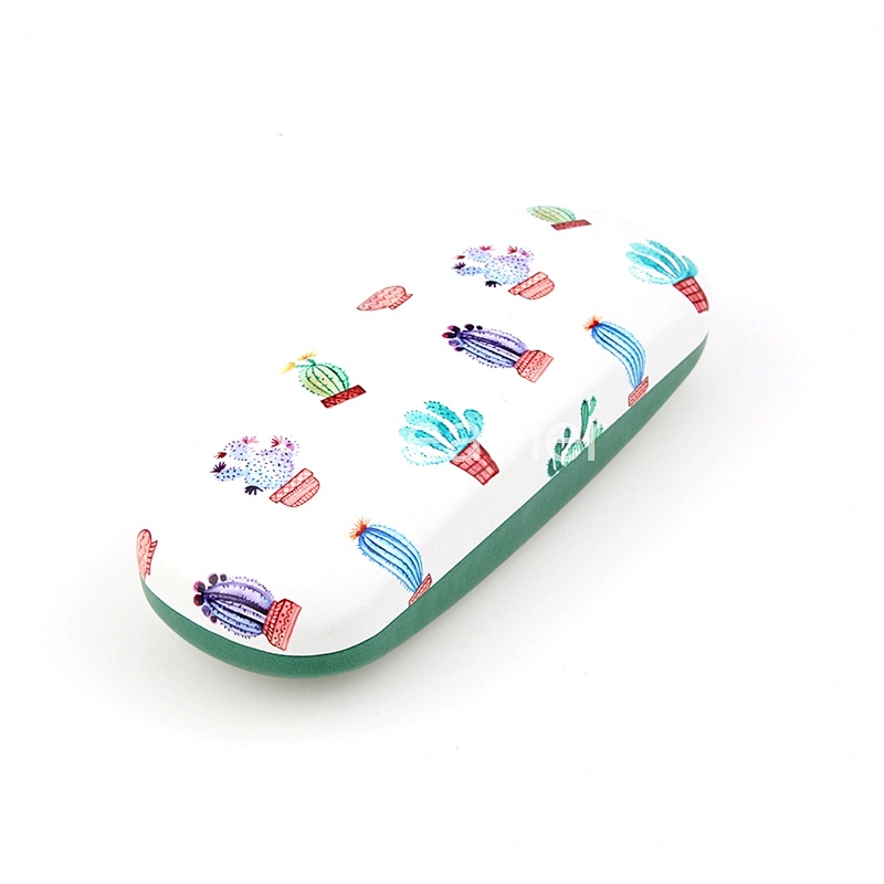 Potted Colorful Cactus Hard Spectacle Case for Children