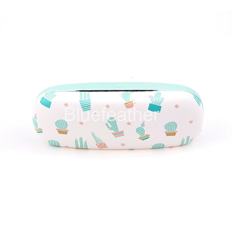 Blue Cactus Bonsai Ball Cactus Eyeglasses-case Optical Case