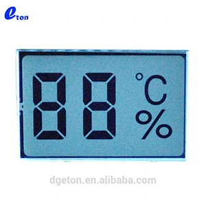 2 digit segment display LCD