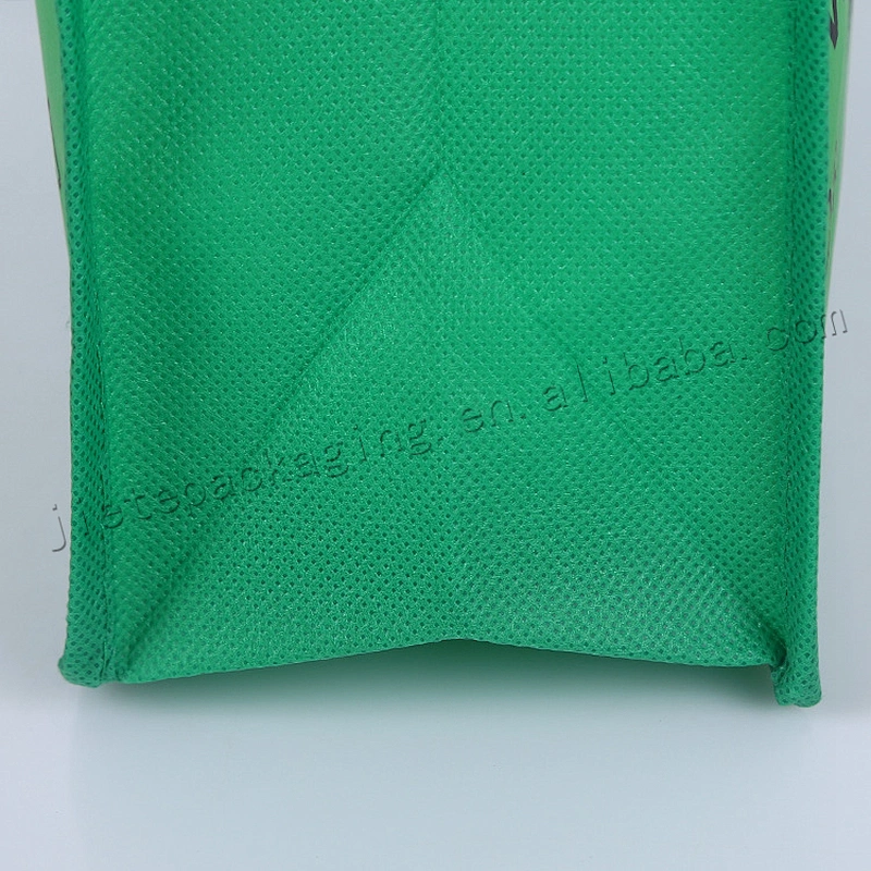 Cheap price 100% plastic pp non woven fabric shopping bag for market,beer,wine