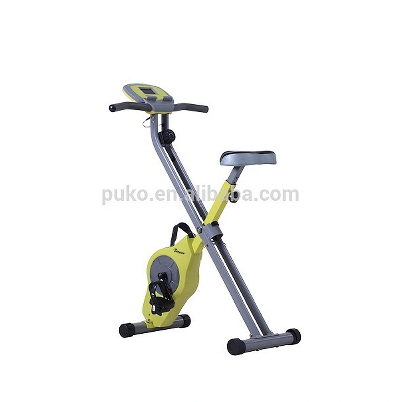 lifestyler indoor body fit magnetic exercise bike