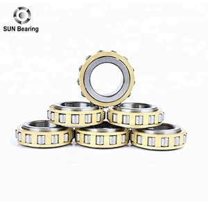 RN205 Cylindrical Roller Bearing