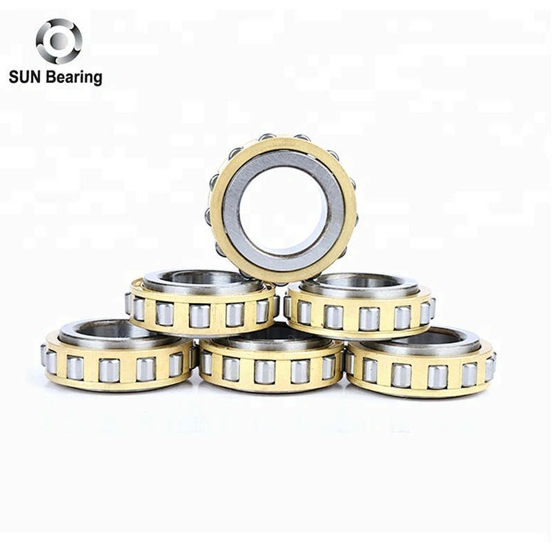 RN205 Cylindrical Roller Bearing