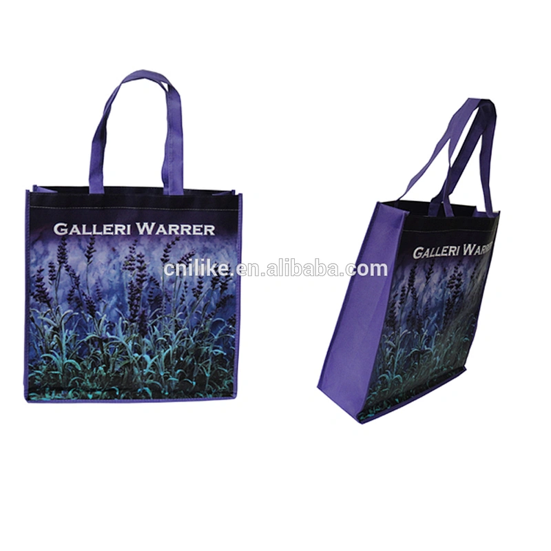 Recycled promotion bottle PET non woven shopping bag