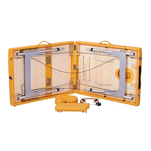 Body Choice Lightweight Massage Table & Health Care Product