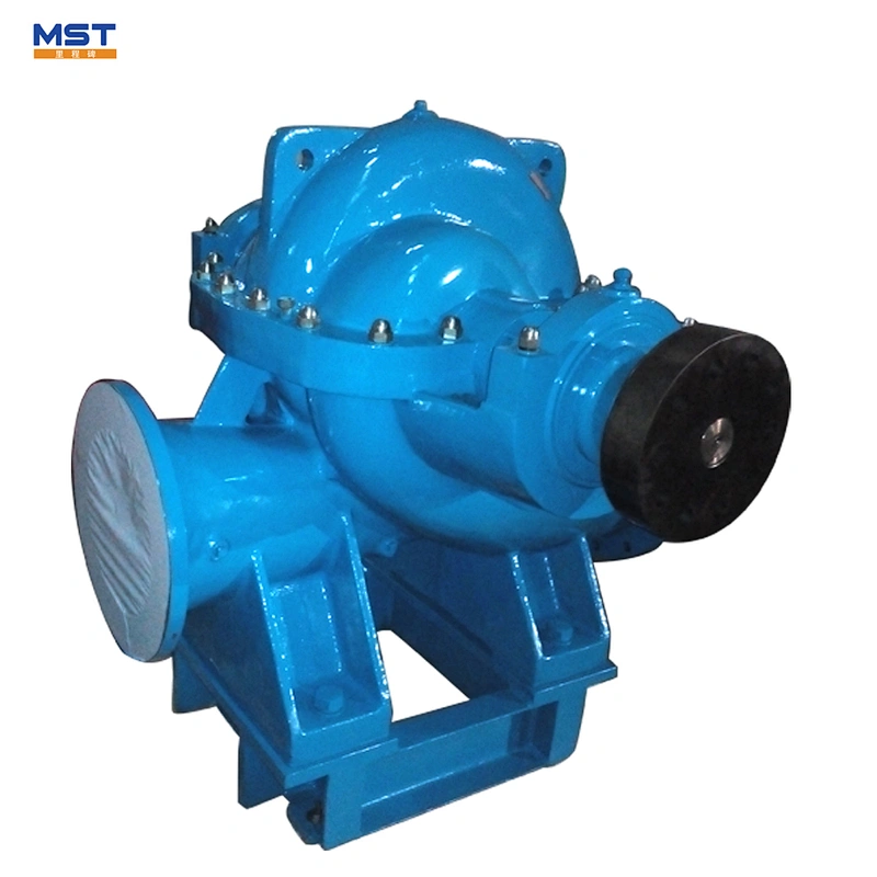 Horizontal Single Stage Double Suction Water Irrigation Pump for Sale