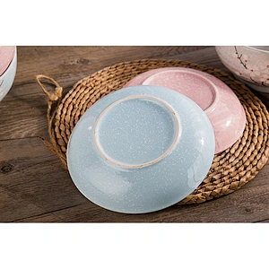 Traditional bone ceramic technique tableware dish by washing machine